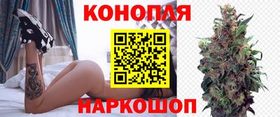 тгк Можга