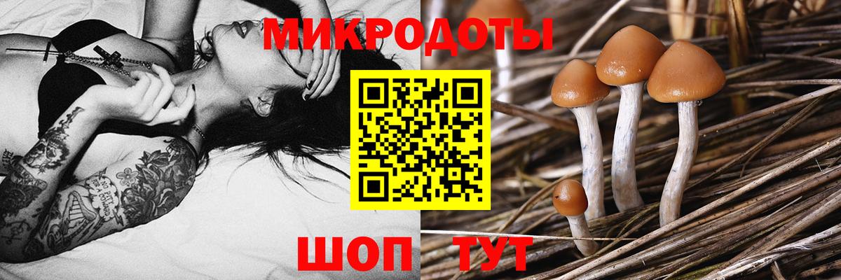 Галлюциногенные грибы мицелий  Галлюциногенные грибы MAGIC MUSHROOMS  Вход с VPN  Тимашёвск 